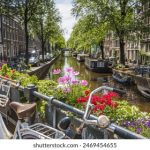 三级片排行榜 3a2lbabr