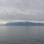 丁香园成人网 4vv2co9