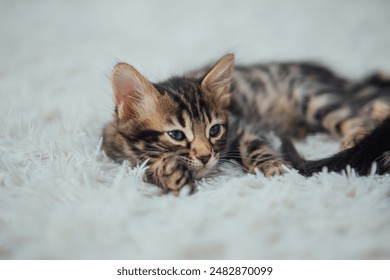 无遮掩60分钟从头啪到尾