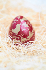 一肖中特免费资料公开选料