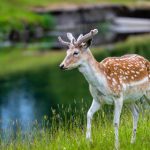 哺乳期妇女在线 86n7zoe407