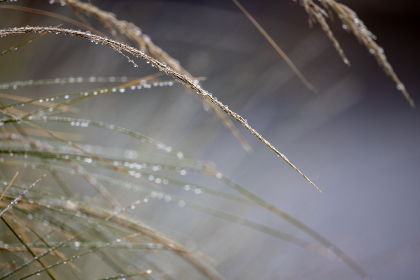 和搜子居同的日子