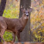 豪婿小说免费全文阅读 bd83do7py