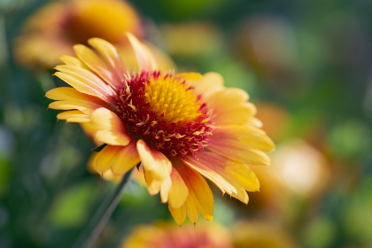 三级在线 亚洲 日韩