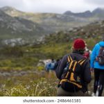 贵妇也疯狂 dfi5f