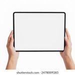 丁香五月开心婷婷综合中文 kips3