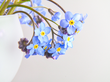 一读下面就湿的短文