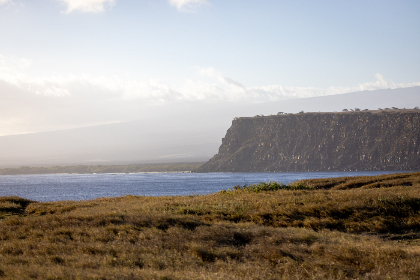 免费看动漫画：畅享无限精彩，尽在指尖的动漫世界！