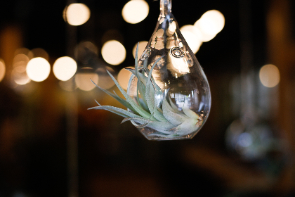 世界十大动漫电影排行：探索那些改变动画历史的经典之作